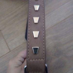XL Faux Leather Collar