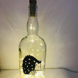 Light up Bottle - Hedgehog Design