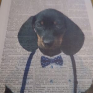 Art Print Dachshund
