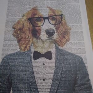 Art Print Dapper Spaniel