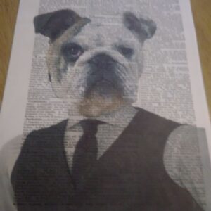 Handsome Dog Art Print
