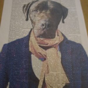 Cool Dude Dog Art Print