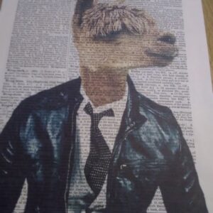 Llama Art Print