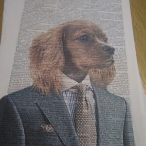 Super Smart Spaniel Art Print.