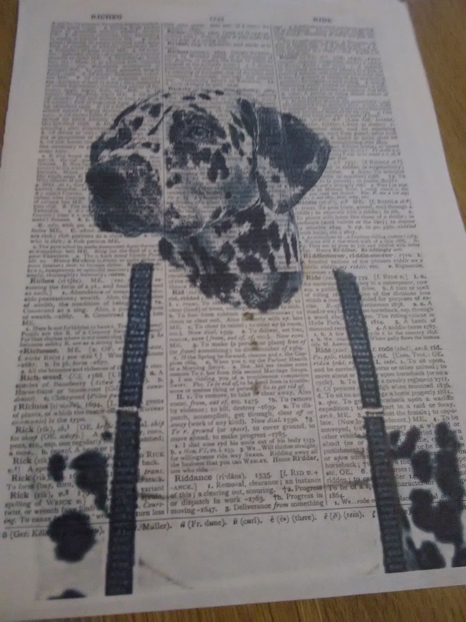 Geezer Dog Art Print