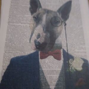 Monocled Bull Terrier Art Print