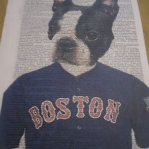 Boston Terrier Art Print