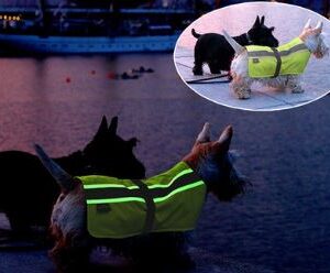 Flecta 3in1 Hi-Vis Dog Jacket