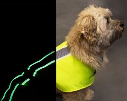 Flecta 3in1 Hi-Vis Dog Jacket - Image 2