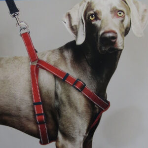 Ancol Padded Harness