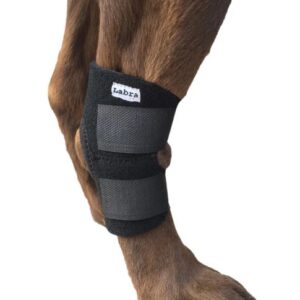 Lightweight Canine Hock Brace by Labra Co.