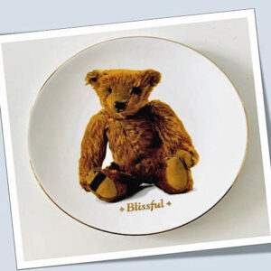 Royal Worcester - Ultimate Teddy Bear Plate collection of 8 plates