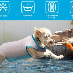 ALL FOR PAWS - Dog Cooling Vest - large