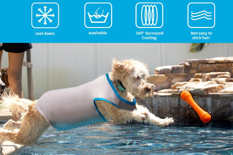 ALL FOR PAWS - Dog Cooling Vest - large