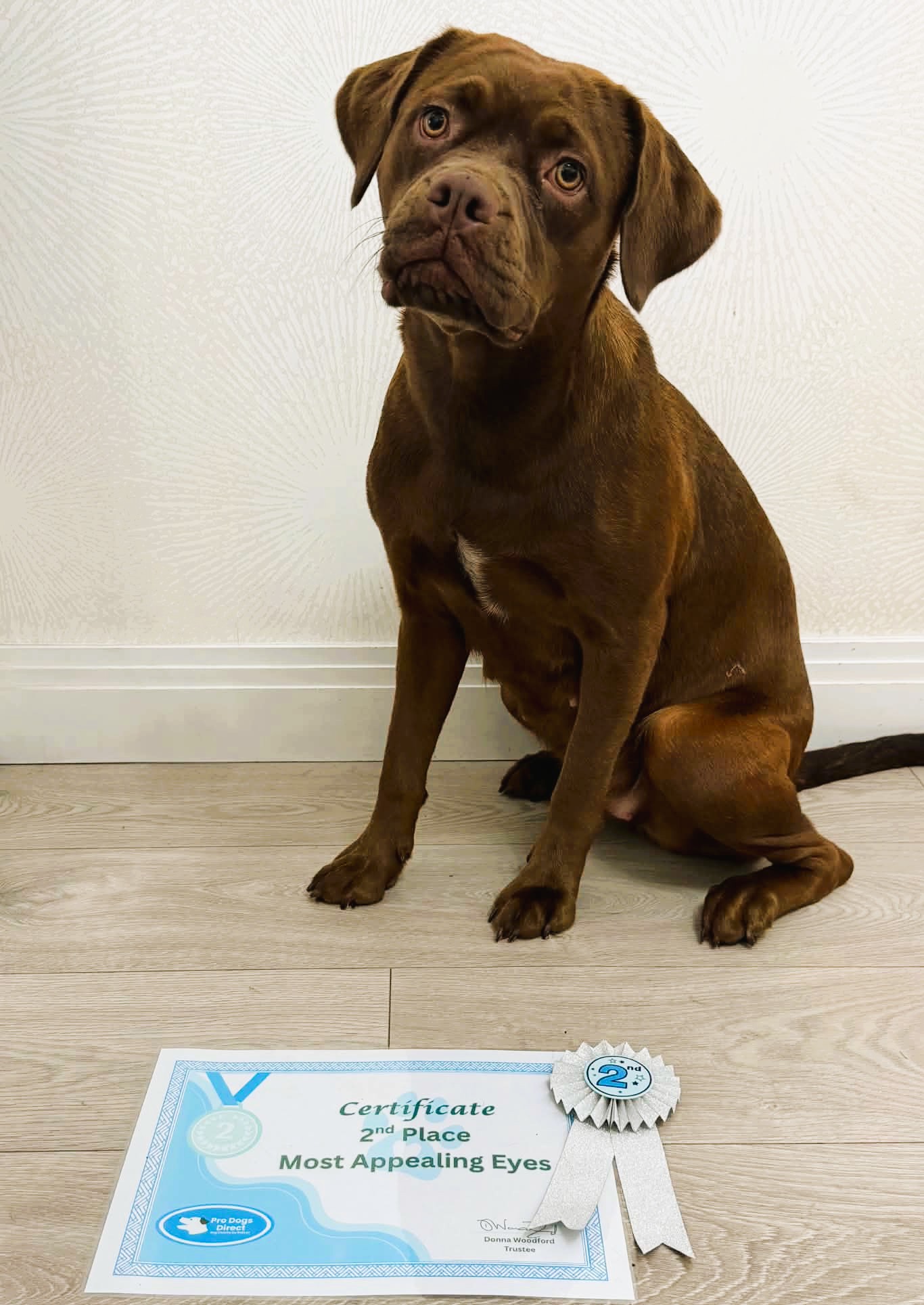 Zuma – Crossbreed